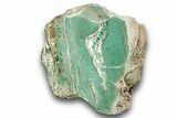 Polished Green Magneprase Section - Western Australia #240126-2